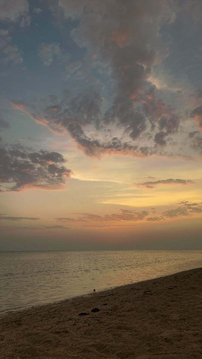_ar262 tweet picture