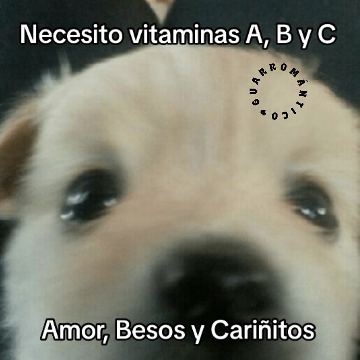 Guarromantico_'s tweet image. Necesito 🥺