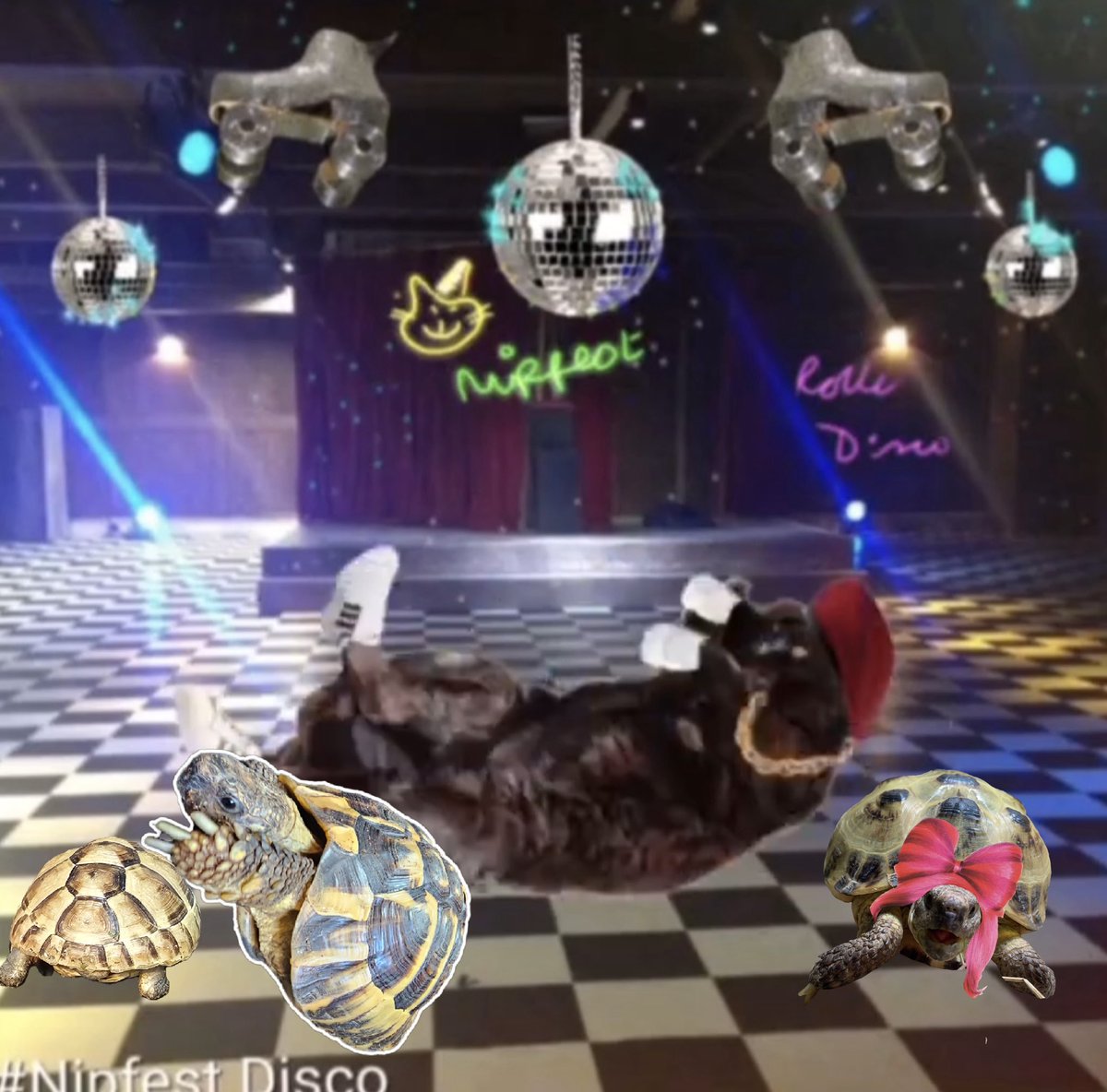 TortyHerman's tweet photo. #Nipfest2024 #paaaaarty! https://t.co/b2jtlYSbwX