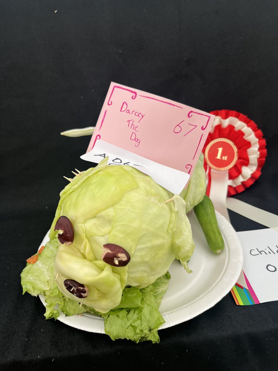 Dallas Primary tweet media