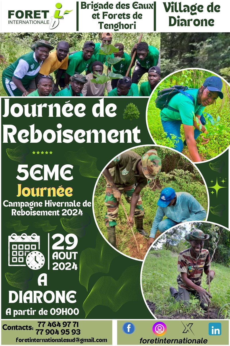 pakfb2's tweet photo. 5ème journée de la campagne hivernale de reboisement 2024, Forêt Internationale (@foret_int ) vous sera dans la Forêt classée des Kalounayes dans sa partie située vers le village de Diarone, commune de Tenghori. 
Ensemble pour un Sénégal vert et où il fait bon vivre. 
#casamance https://t.co/kWIblpJ61m