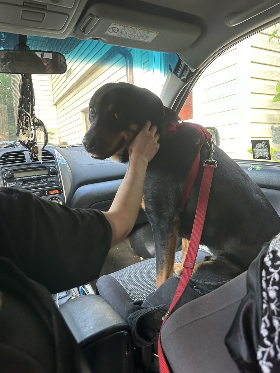 Voted number one best guy in town.