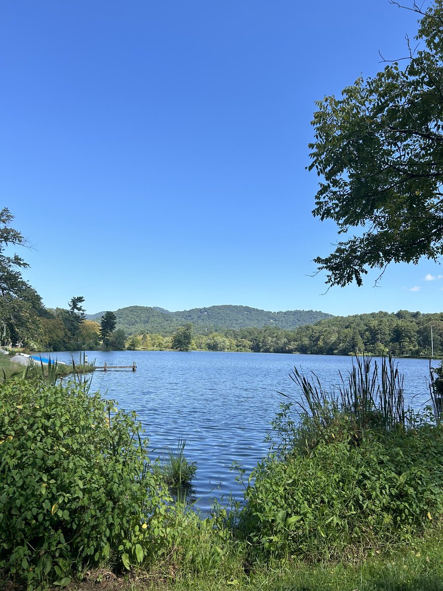 L_Whited21's tweet photo. Absolutely Gorgeous day in Asheville . https://t.co/WwIyZPhPrR