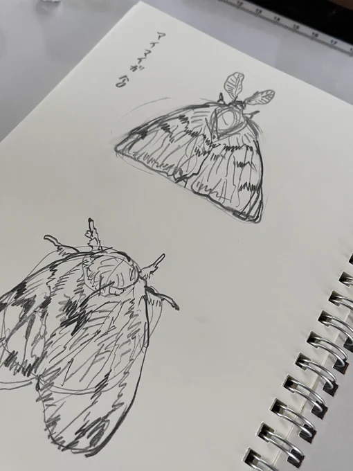 楽しい