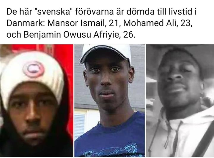 SDSTEFFE tweet media