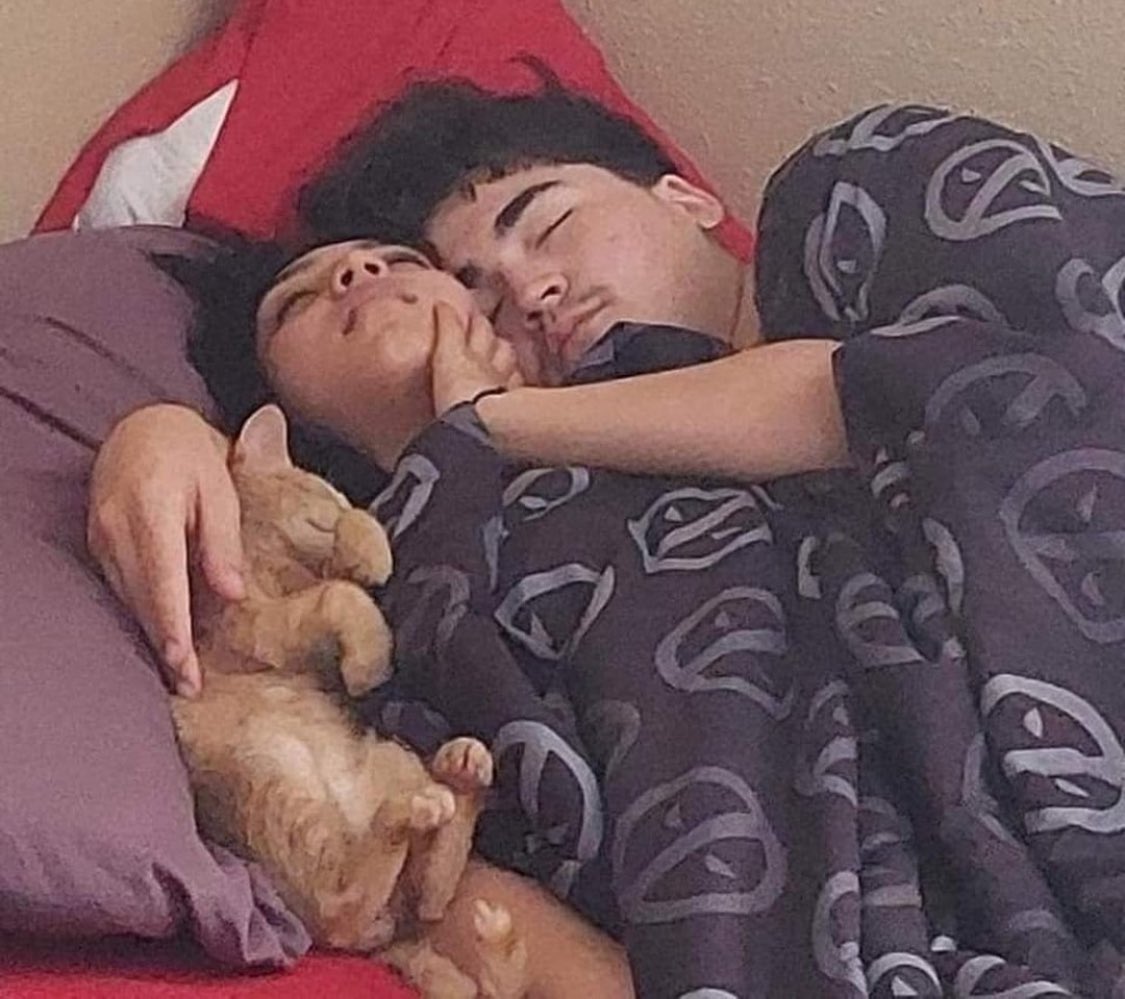 PunchingCat's tweet photo. is this too much to ask for? https://t.co/LtSbodg1Al