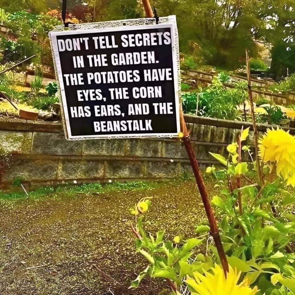 Saturday and Sunday you can catch Skip Richter of GardenLine on Newsradio KTRH AM 740 from 6am-10am. Call in ☎️ (713) 212-5874. 

Talk to Skip to hear all the secrets #gardeningquestions and #fallgardening on Saturday, Sept 7 ⏰noon-2pm at the Home Show. 
TexwoodShows.com