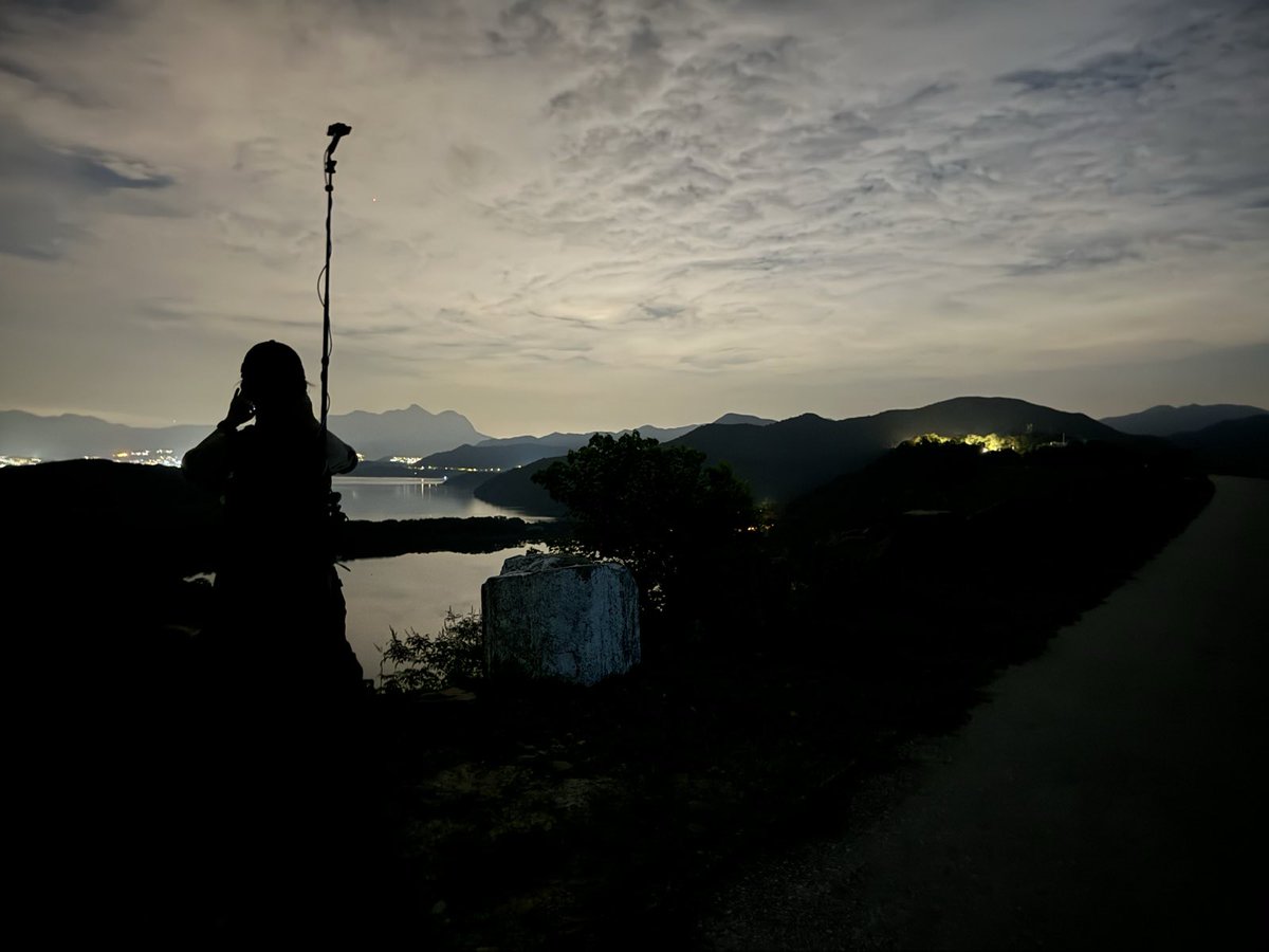 Ann "Sparrow" To tweet media