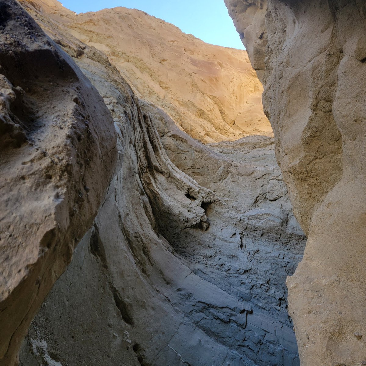 _atariatlas's tweet photo. desert hiking today https://t.co/SyjCs8kx8t