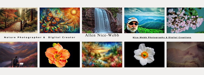 nicewebbgallery's tweet photo. NiceWebb Photography &amp; More
https://t.co/AcDfvpnPoy https://t.co/ukbRE0QmYi