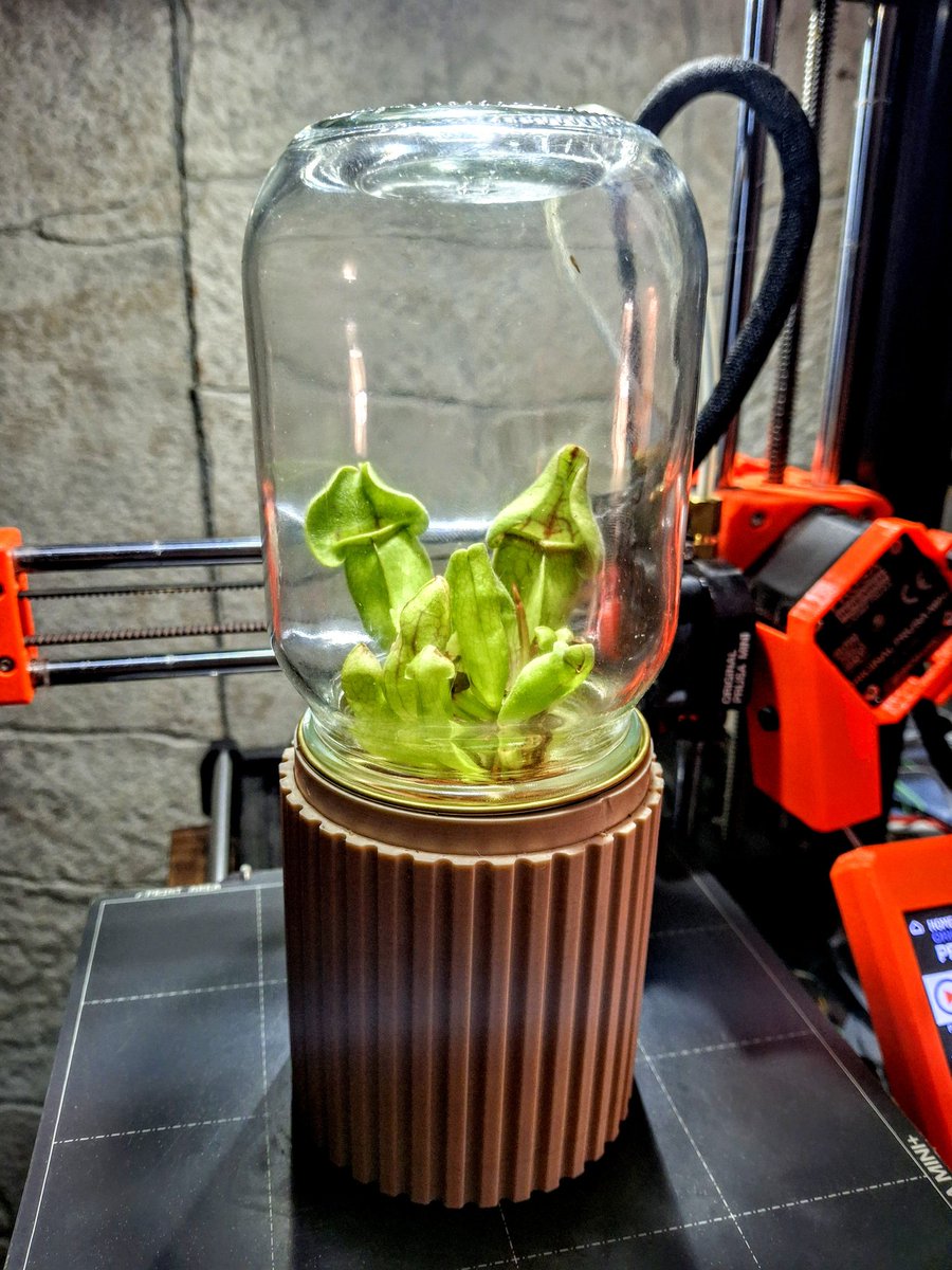 programmer1200's tweet image. Needed a way to display my pitcher plant I got for my birthday, designed and printed this mason jar terrarium. Had good luck with LECA in the past so going to give it a shot #plants #3Dprinting