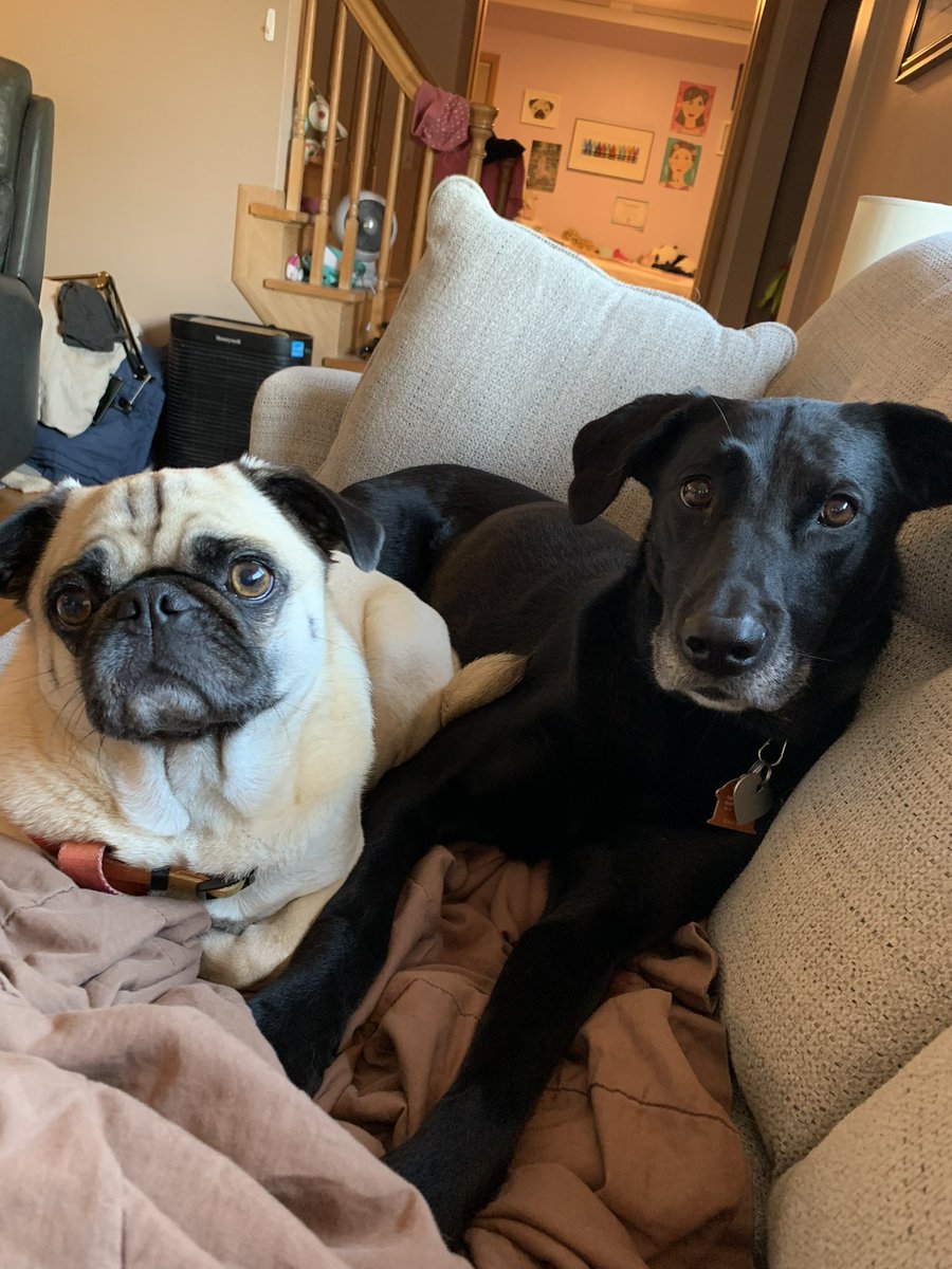 TheWerlinger4's tweet photo. These two are just so cute! https://t.co/OiE2q6q4M5