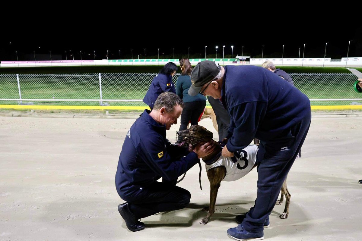 GRSANews's tweet photo. WA young gun Miss Envy has added a Group 1 National Sprint Championship  to her resume, winning the prestigious feature in just her 12th career start. 
Congratulations to trainer Krystal Shinners and all connections!
📸 Ash Penhall Greyhound Photography https://t.co/AVcyV4JJeb