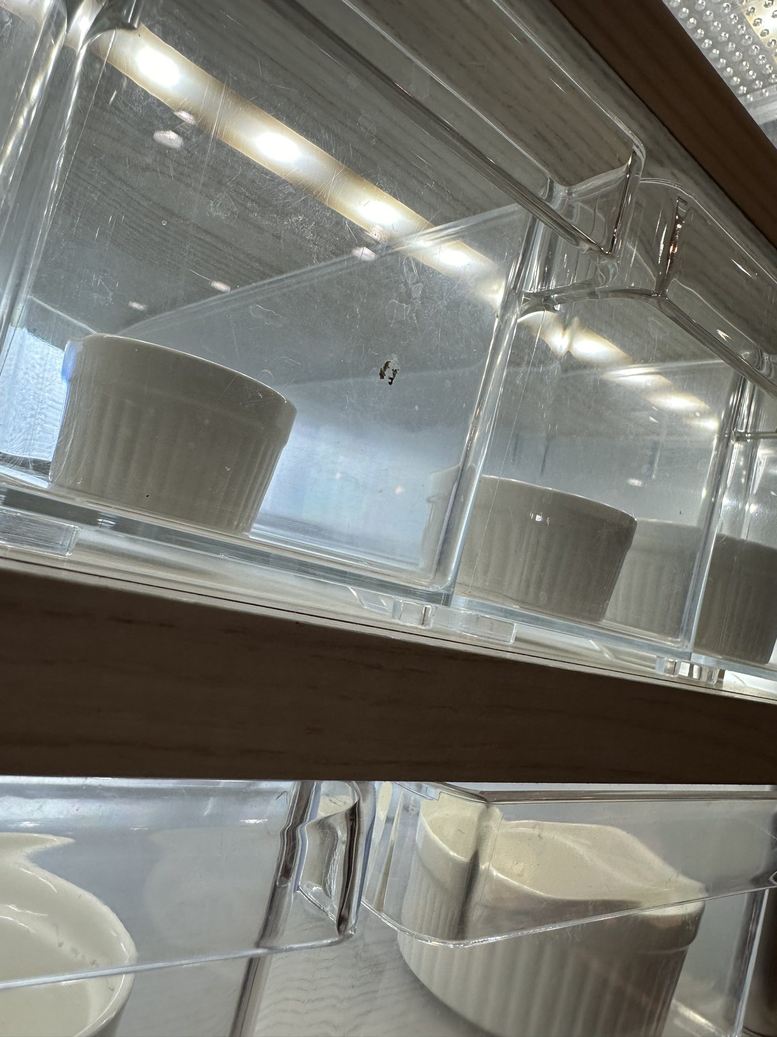 スネークラック用タブ　ブリーダーラック用タブ　爬虫類ラック 新型PP PC爬虫類繁殖用タブ 爬虫類ラック 金属製ヘビラックと