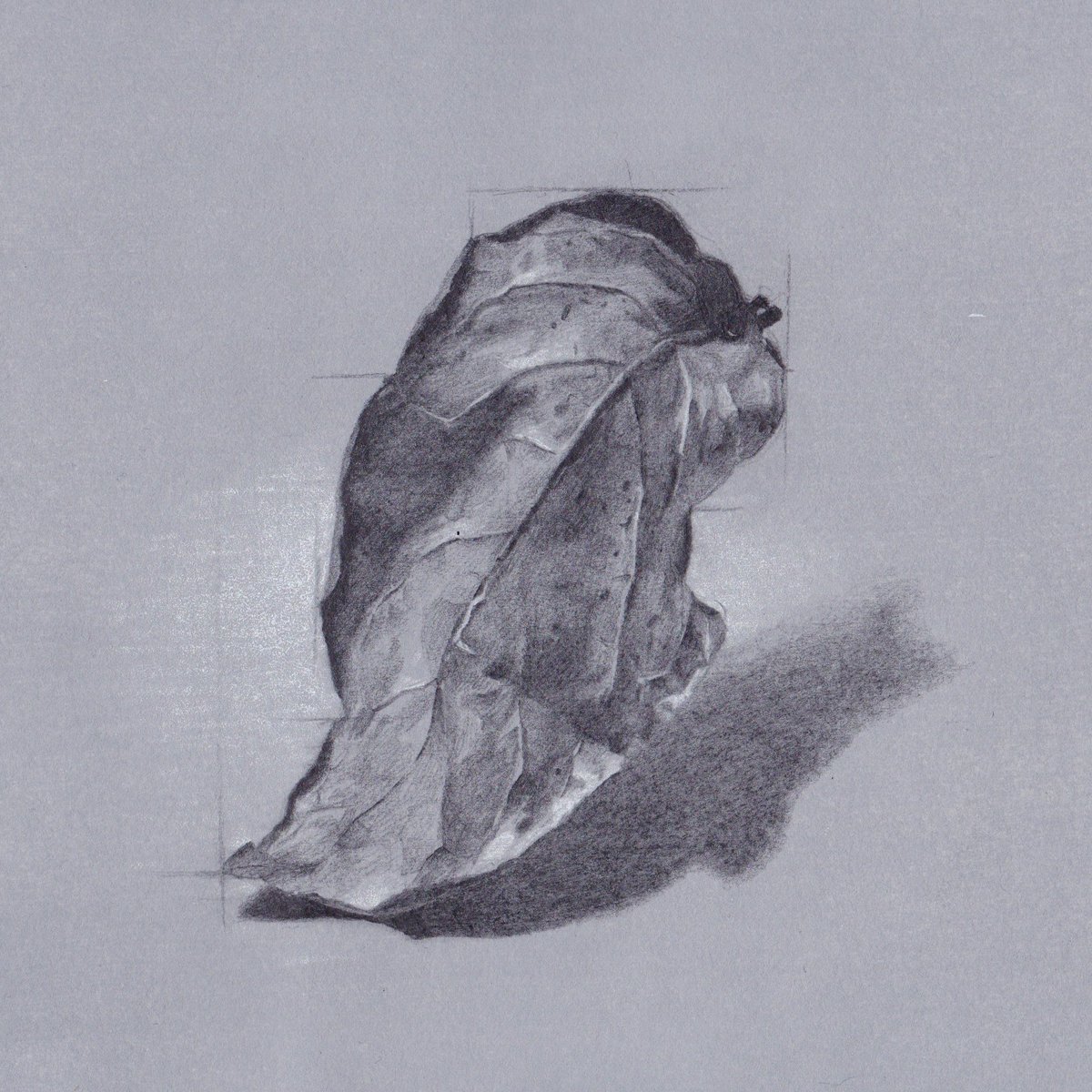 「デッサンって絵画でよく見かけるようなモチーフを選ばなくても日常で見るものをテキト」|Naoya Ohtaniのイラスト