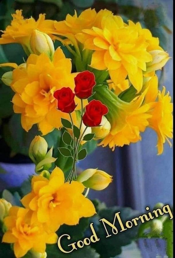 Good morning friends