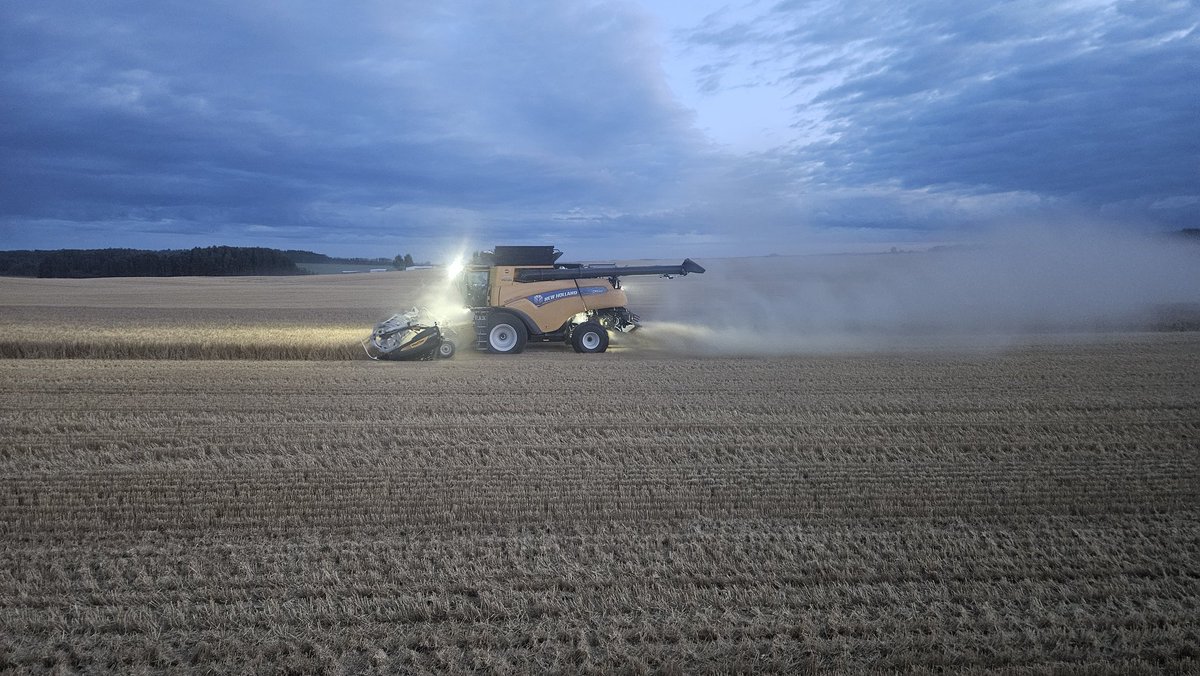 Threshing away. #harvest24 #yellowcombines
