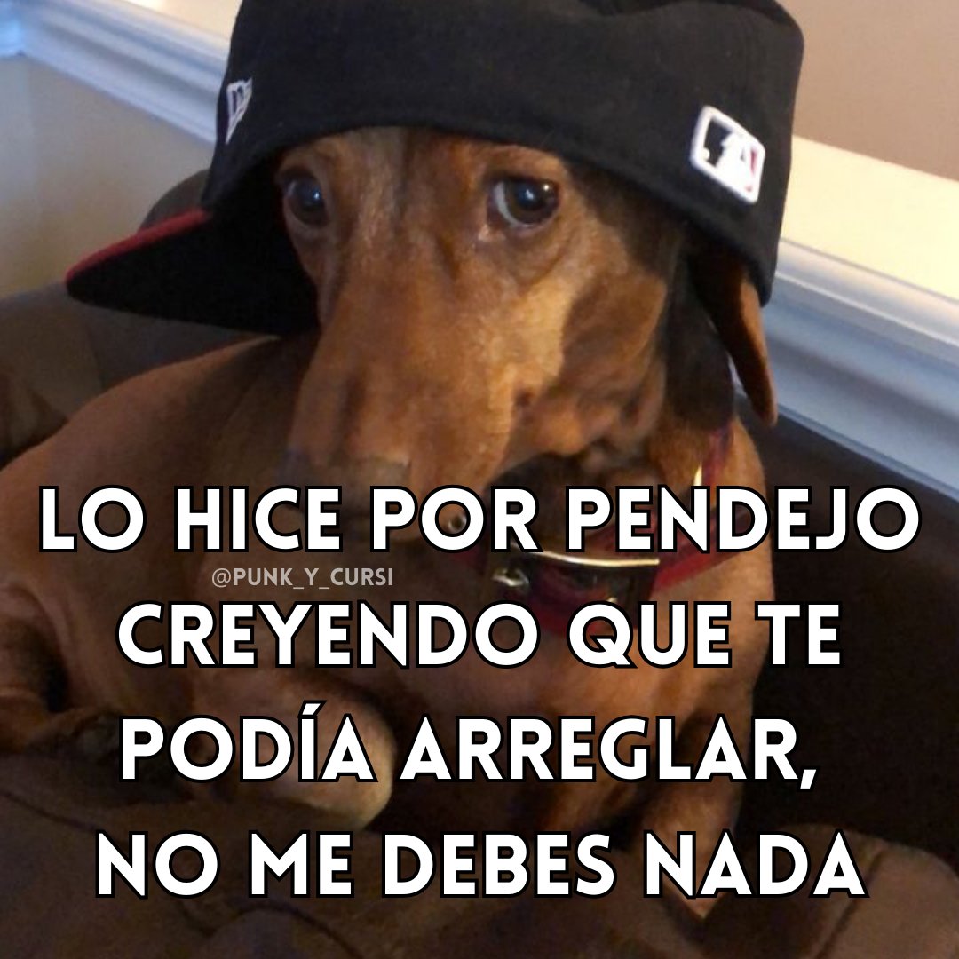 punk_y_cursi's tweet photo. 🫠🫠🫠🫠 https://t.co/ApeGRY3zCX