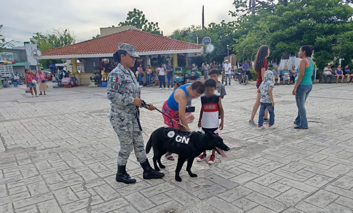 GN_MEXICO_'s tweet photo. En el municipio de Ciudad Mante, #Tamaulipas, la #GuardiaNacional realizó una exhibición de binomios caninos, así como de equipo y vehículos de la institución. Con estas acciones estrechamos lazos con la ciudadanía. https://t.co/CKALIxwLIx