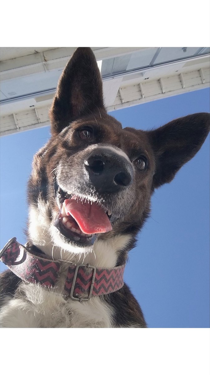 Barbicasla10's tweet photo. @twaniimals 🤪 https://t.co/Fi7mU5I3Gb