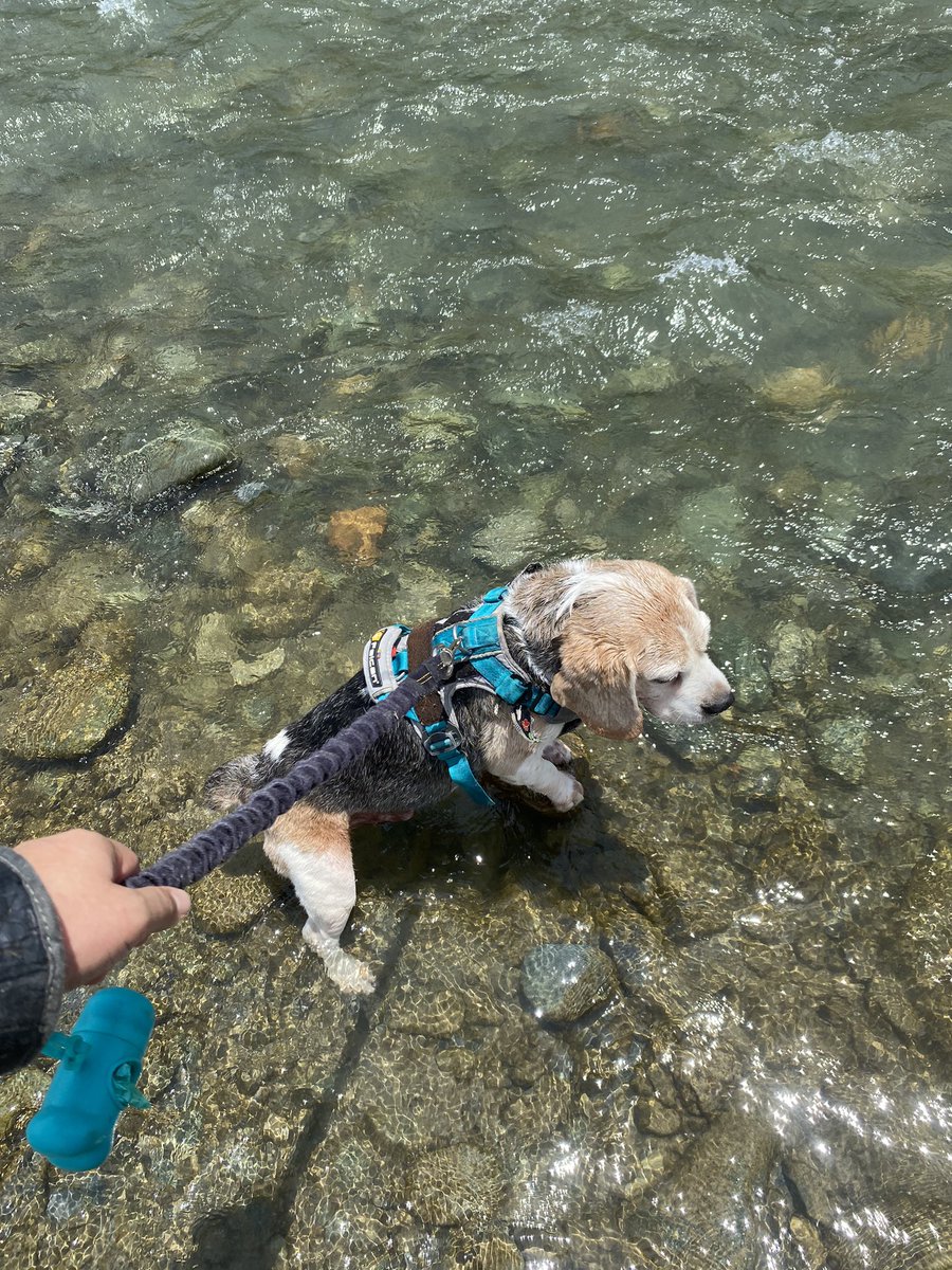 Rafa Hernández P. tweet media