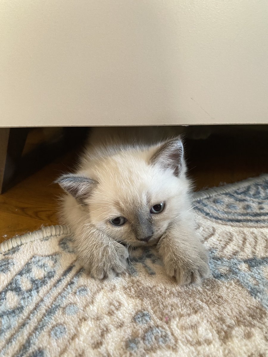 sana aşığım❤️