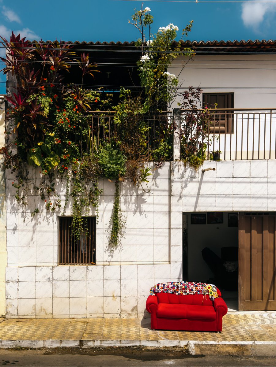 barba sou eu tweet media