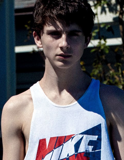 hourly timothée ✩彡 (@gifstimothee) on Twitter photo 