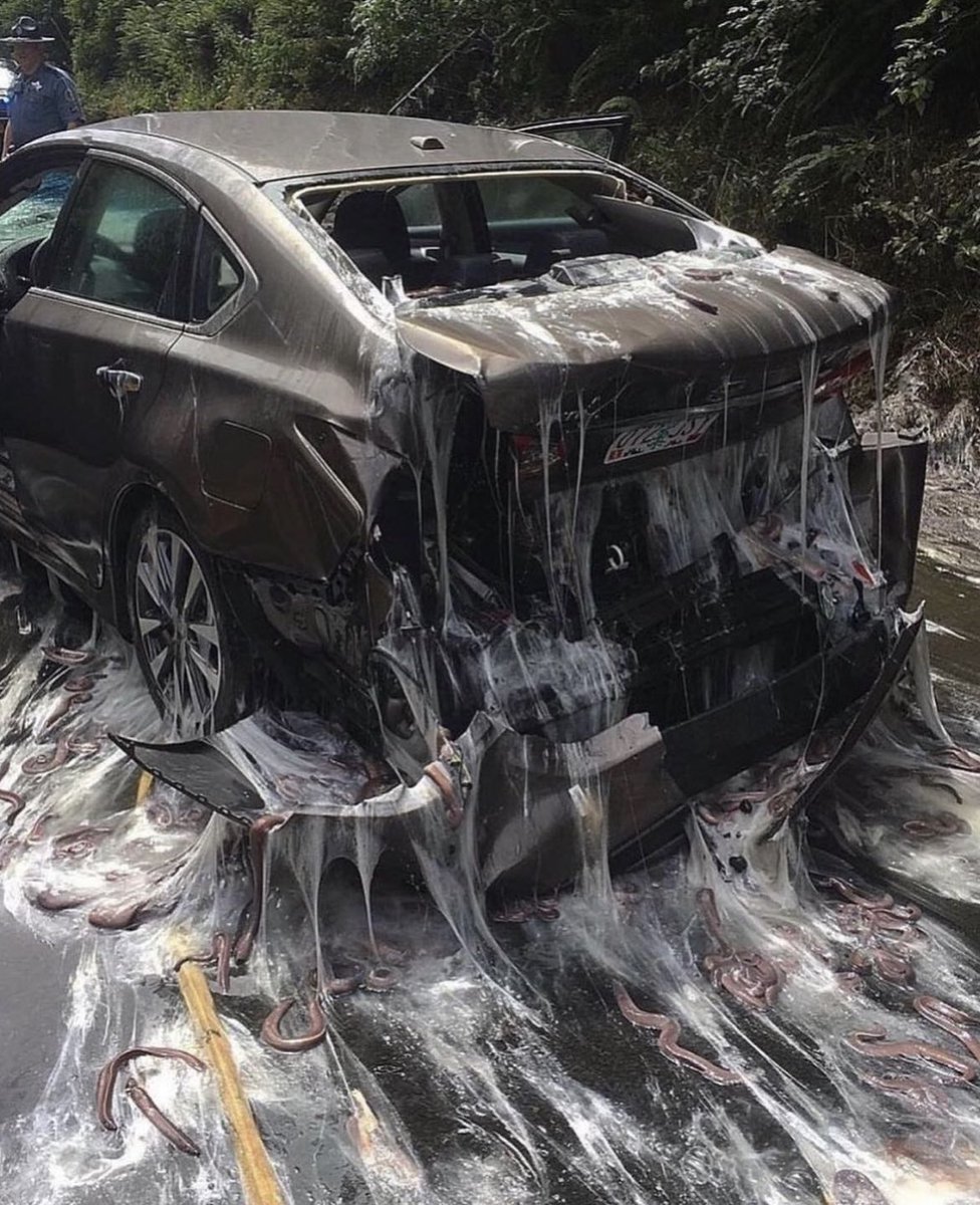 God damn it how the FUCK am I gonna explain this one to the kobolds they’re almost back from their mining trip.