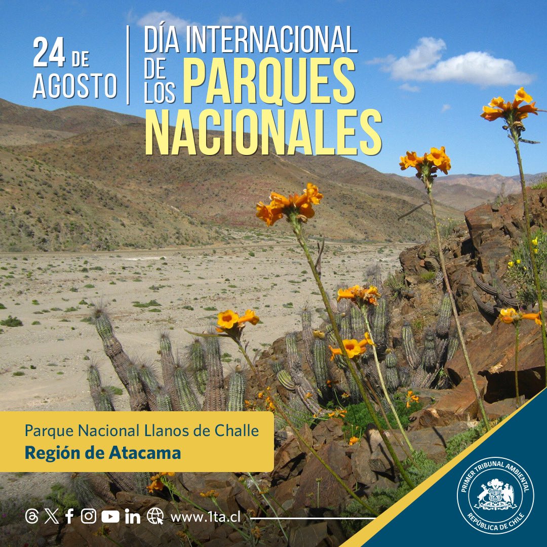 ✨Hoy celebramos el Día Internacional de los #ParquesNacionales 🏞️ y les dejamos esta imagen del Parque Nacional Llanos de Challe, ubicado en la costa de la región de Atacama. 

Fue creado para proteger la formación vegetal 🌱desierto costero del Huasco.