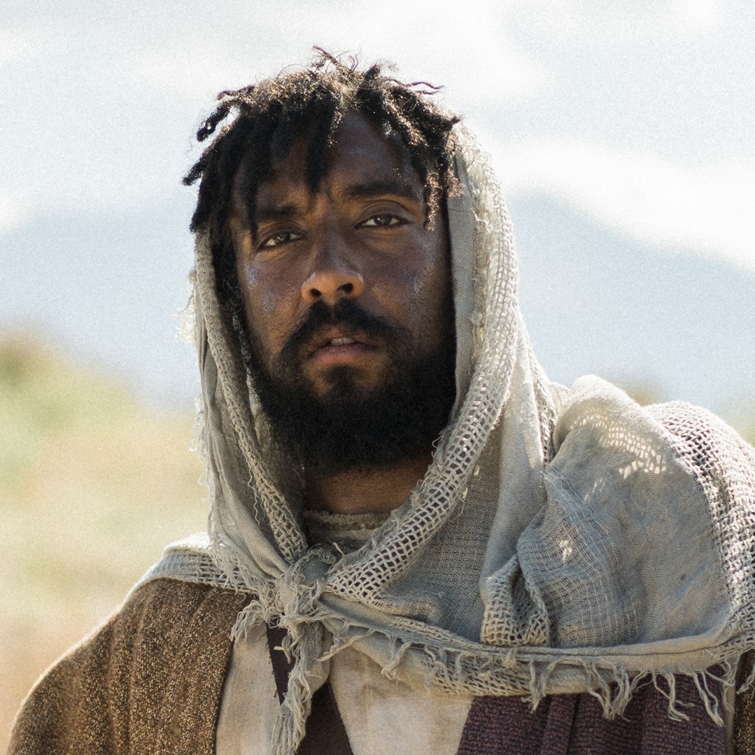 EniorJimenez's tweet photo. A la izquierda esta la representación de José por la popular serie «The Chosen». A la derecha está la "reconstrucción facial" de Jesús realizada por el experto británico Dr. Richard Neave (quien es, por supuesto, un liberal).

Permítanme comenzar diciendo lo siguiente: Estoy casado con una mujer dominicana, su abuelo, es negro como la noche. Mis hijos son de tez blanca, pero lo único que me importa es que sean Cristianos. Bien.

Los evangelistas Mateo y Lucas nos dicen que José el justo era del linaje davídico (Mateo 1 y Lucas 3). ¿Qué se nos dice de la apariencia física de David? 1 Samuel 16:2: 

– "Y envió por él y lo hizo entrar. Era rubio, de ojos hermosos y bien parecido. Y el Señor dijo: Levántate, úngele; porque este es". 

De nuevo en 1 Samuel 17:42:

– "Cuando el filisteo miró y vio a David, lo tuvo en poco porque era un muchacho, rubio y bien parecido".

¿Y qué de Salomón, el hijo heredero de David, y un tipo del Mesías que iba de venir? Cantares 5:10:

– "Mi amado es blanco y rubio, distinguido entre diez mil". 

Unos cientos de años más tarde, el profeta Jeremías, escribiendo sobre la cautividad babilónica del reino davídico, describe a los nazareos de Judá (también llamados nobles, es decir, parte de la línea real que hacían un voto de consagración): 

- "Sus nazareos eran más puros que la nieve, más blancos que la leche, más rojizos de cuerpo que los corales, como el zafiro su apariencia" (Lamentaciones 4:7). 

Esto concuerda con las fuentes rabínicas y musulmanas. En resumen, los antiguos hebreos del linaje de David eran blancos, no de tez negra. Esto no es racismo, es historia. 

¿Y qué? Tú dirás. Bueno: cada vez que una serie, una película, un grupo de «eruditos» o «expertos» salen y retratan intencionadamente a José, o a Jesús, de tez negra con rastas, sabes a ciencia cierta que se trata de ideología política y no fidelidad histórico-bíblica la que impulsa el proyecto.

El progresismo reescribe la historia para promover ideales políticos, no busca comprender la historia para educarnos en el presente. La definición de propaganda, no de erudición bíblica.

El progresismo es el culto a la fealdad y peor, a la ignorancia.
