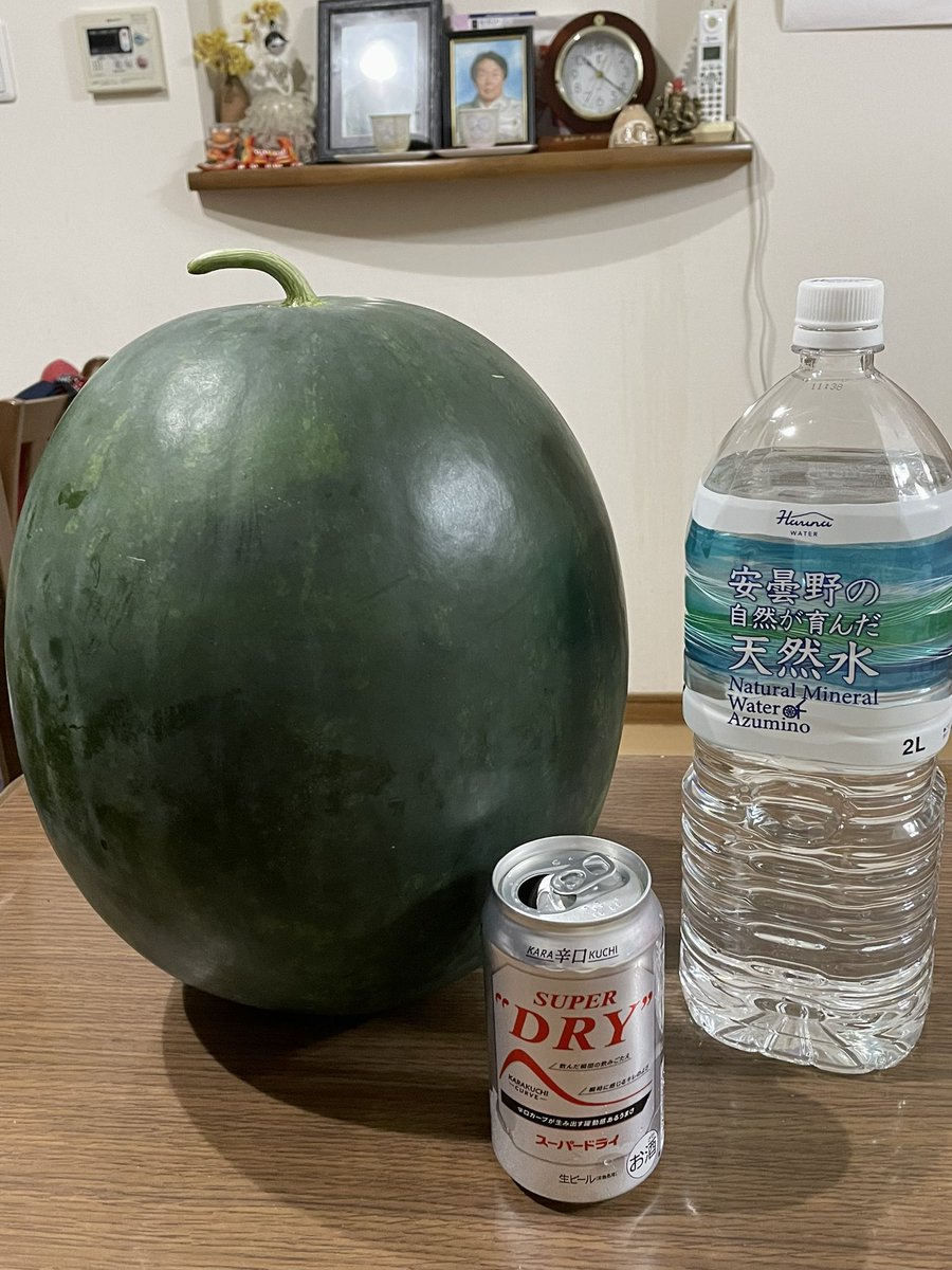 pazukun_LB's tweet photo. 今年から農作業始めてこんな大きな🍉を収穫しちゃい大満足で〜す https://t.co/6jayhmizb1