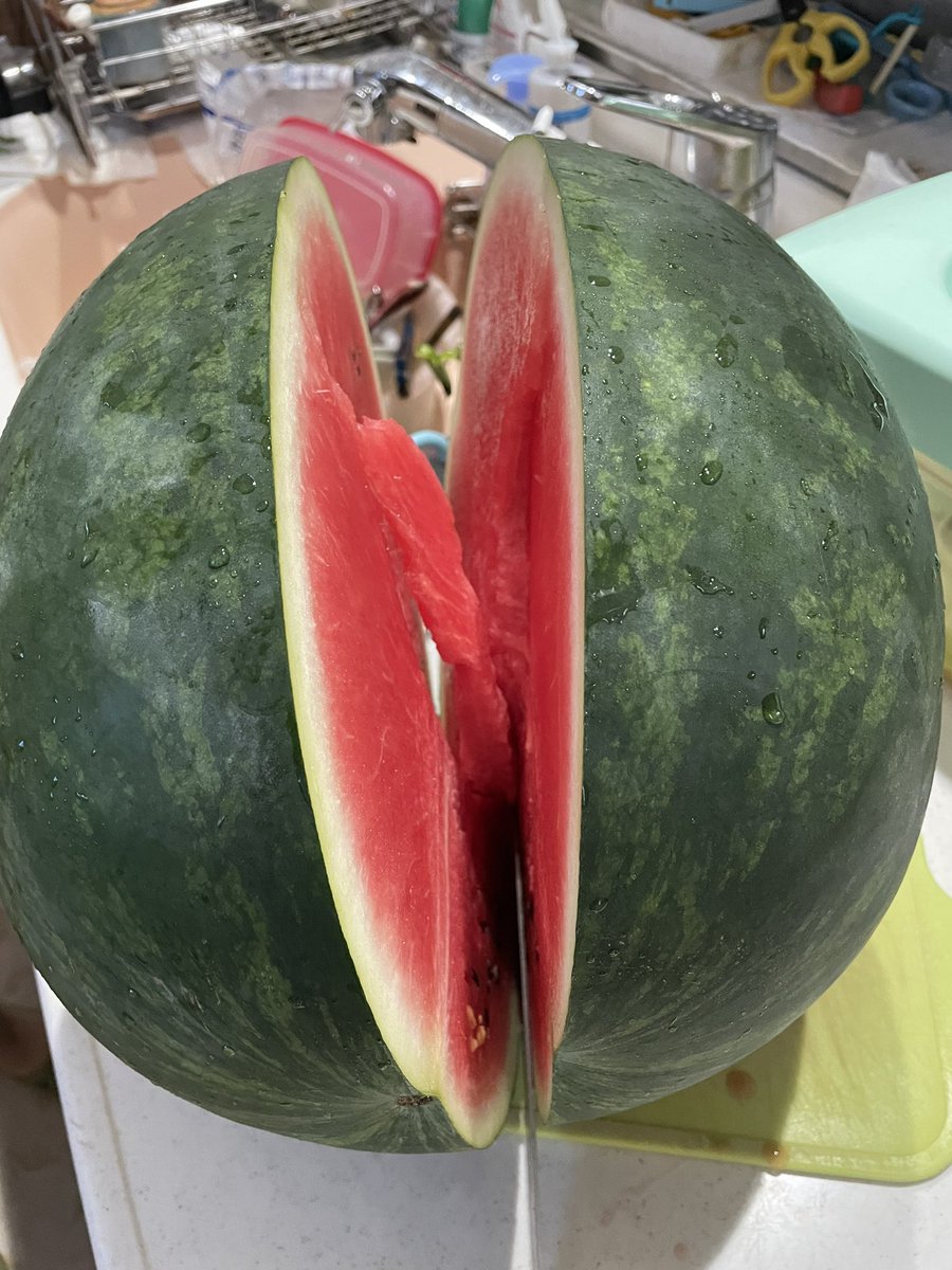 pazukun_LB's tweet photo. 今年から農作業始めてこんな大きな🍉を収穫しちゃい大満足で〜す https://t.co/6jayhmizb1