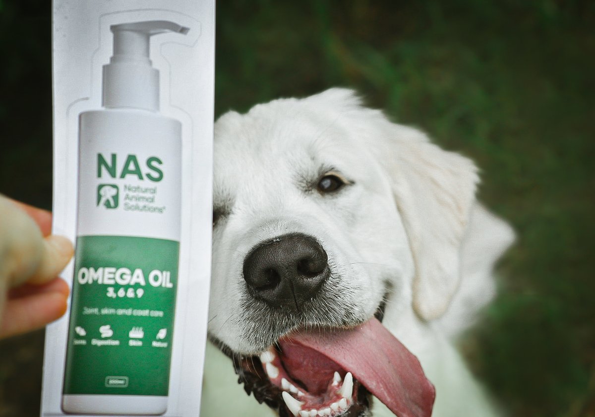 Natural Animal Solutions tweet media