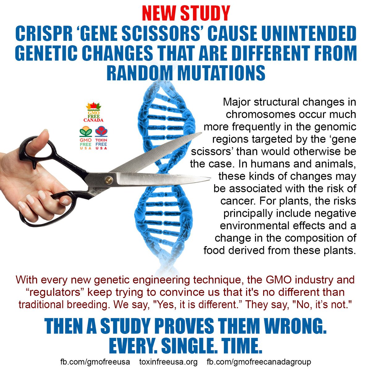 GMOFreeUSA's tweet image. With every new genetic engineering technique, they keep trying to convince us that it's no different than traditional breeding. 
We say, "Yes, it is different.” They say, "No, it’s not." 
Then a study proves them wrong. Every. Single. Time.
gmwatch.org/en/106-news/la…