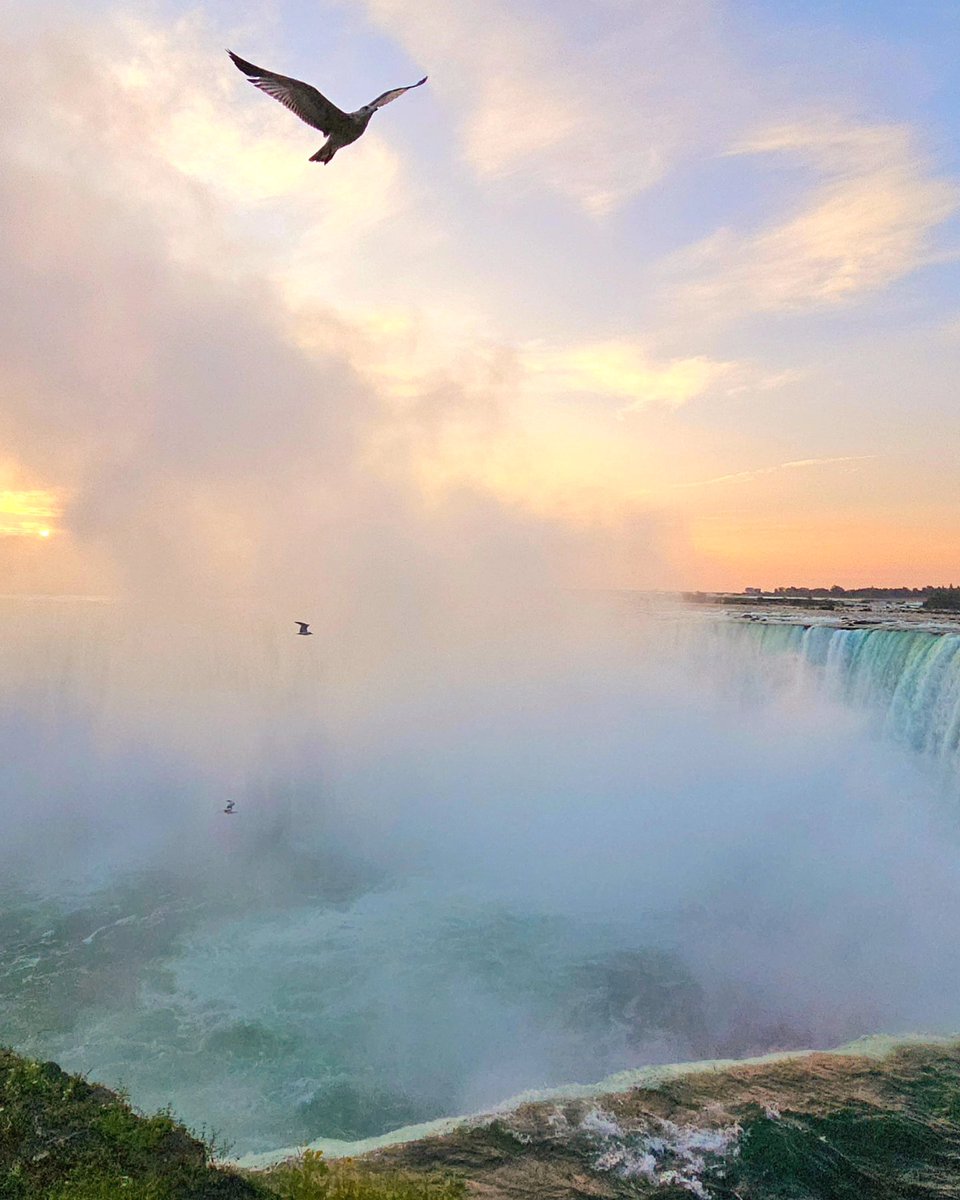 Kat_in_niagara's tweet photo. Sunrise scenes this morning before work. 🫶💗 #ShareYourWeather #NiagaraFalls #StormHour @ThePhotoHour #nature https://t.co/o1JN5gWzE0