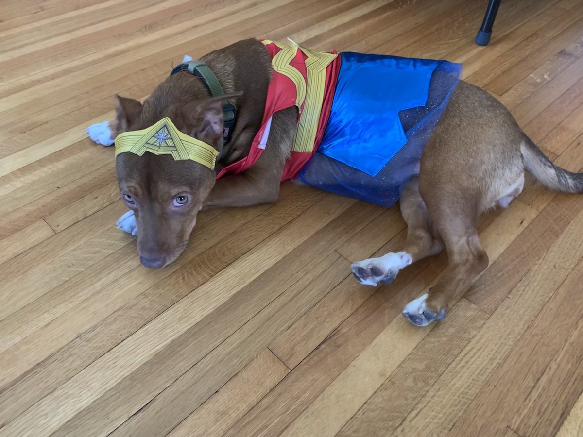 MMBitters's tweet photo. @RealLyndaCarter Miss Moneypenny is ready! (And giving side eye to the other guys). https://t.co/t7ssSpUNFU