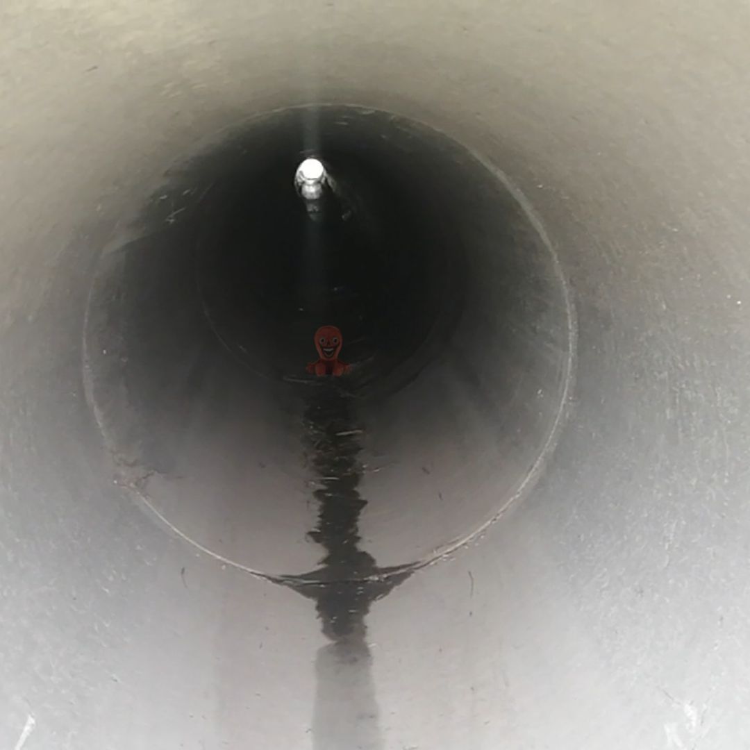 Darian_Quilloy tweet media