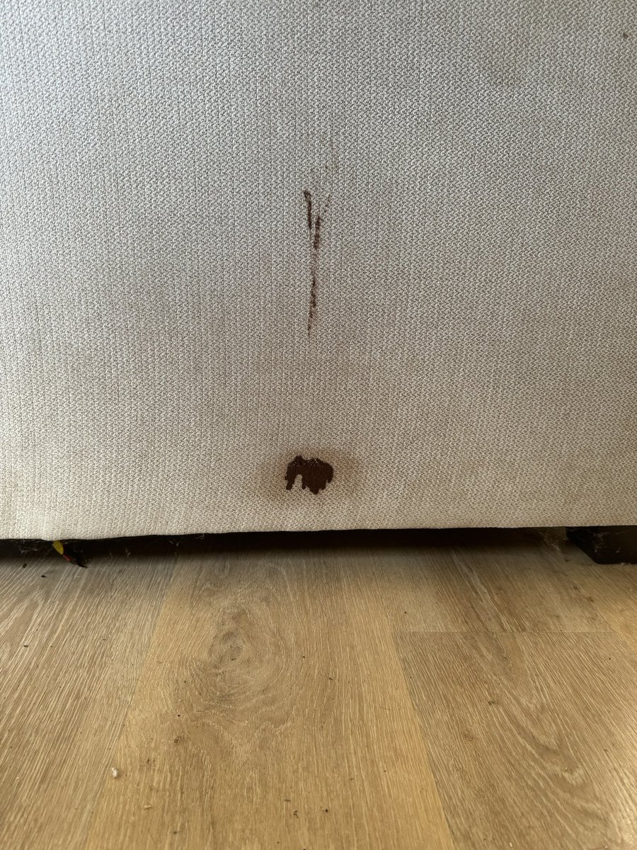 EdsCleaningHI's tweet photo. Alright folks, gather around for the highly anticipated stain removal update from the sofa we just cleaned. *drumroll* And the winner is... our secret cleaning solution. Stain removal is so satisfying💪 #cleaninghacks #sofaproblems #winningatadulting #Hawaii #satisfying #Kamuela https://t.co/pDKPWloj4y