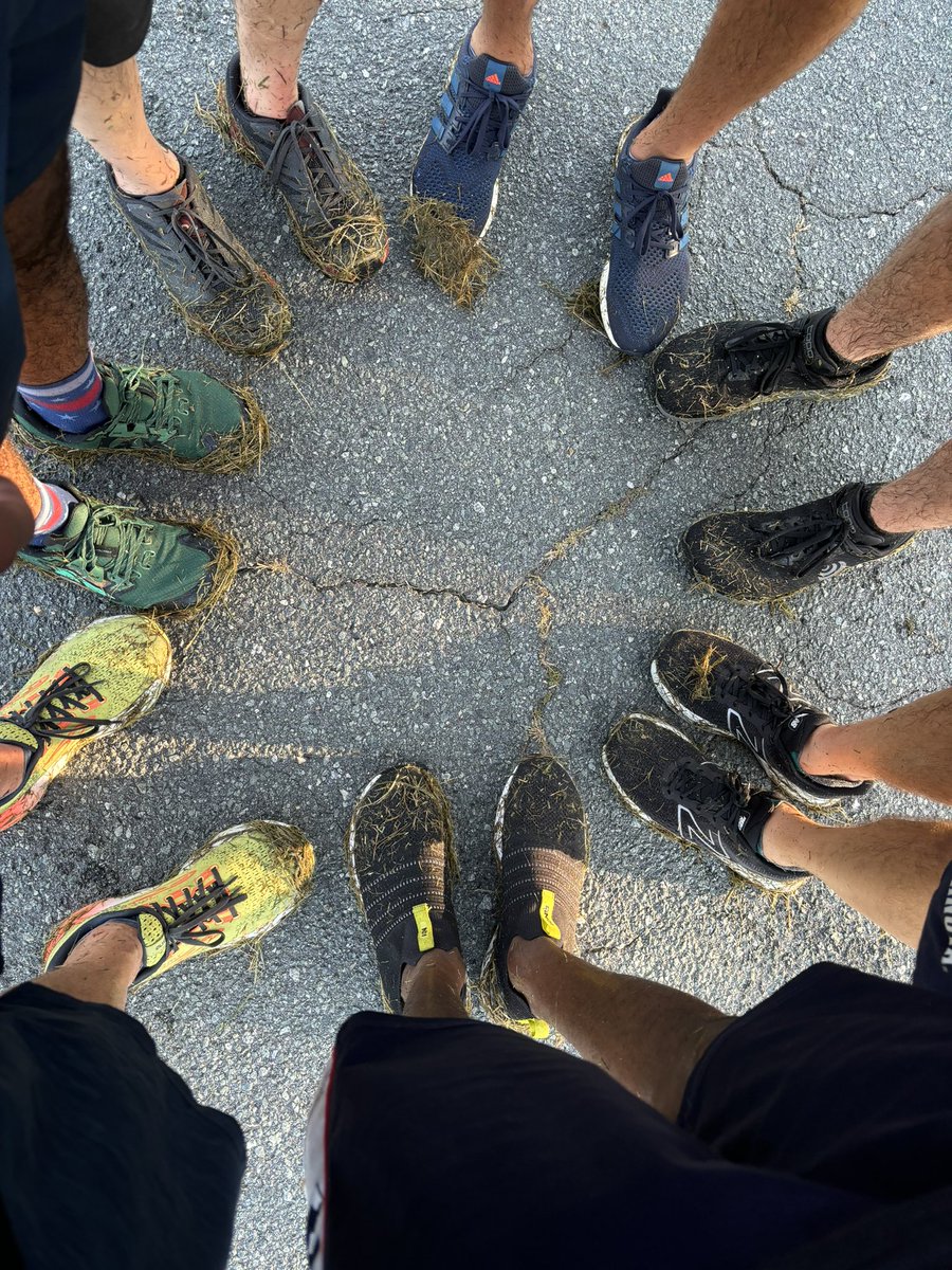 F3 Saban tweet media