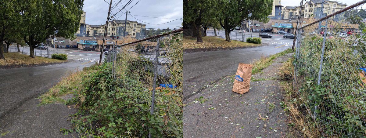 Seattle Street Fixers tweet media