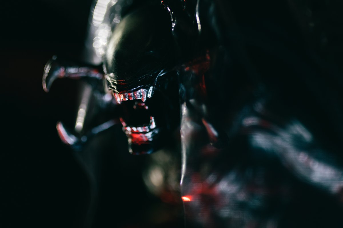 ridgetop21's tweet photo. #AVPR figures by @hottoysofficial and @FURYU_collectib https://t.co/Gq1K1tyd6e