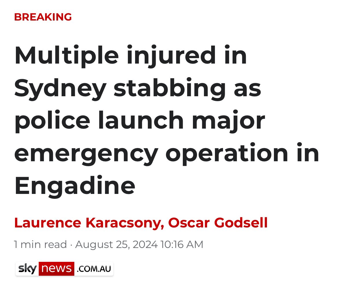 Avi Yemini tweet media