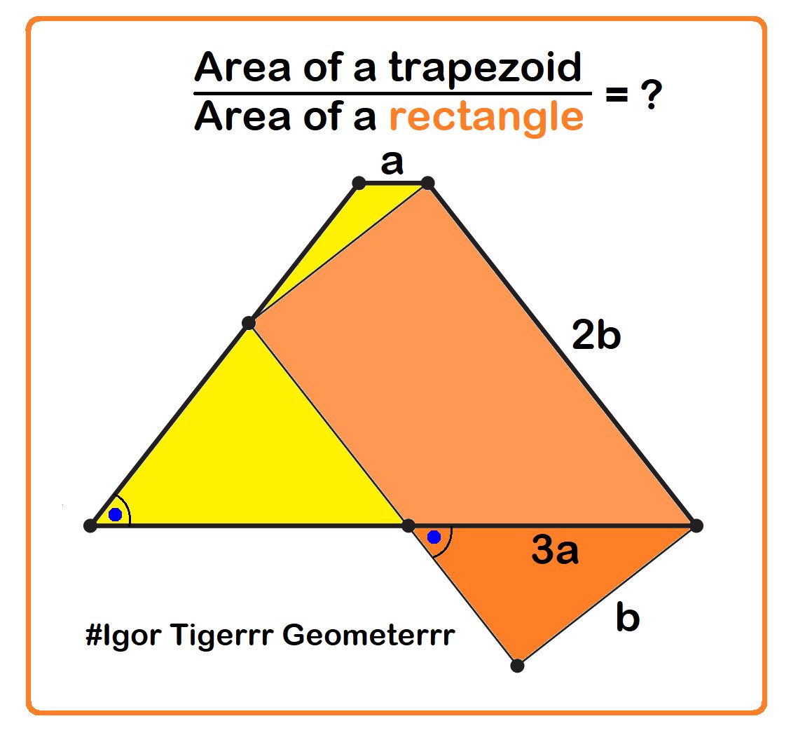 Igor Tigerrr Geometerrr tweet media
