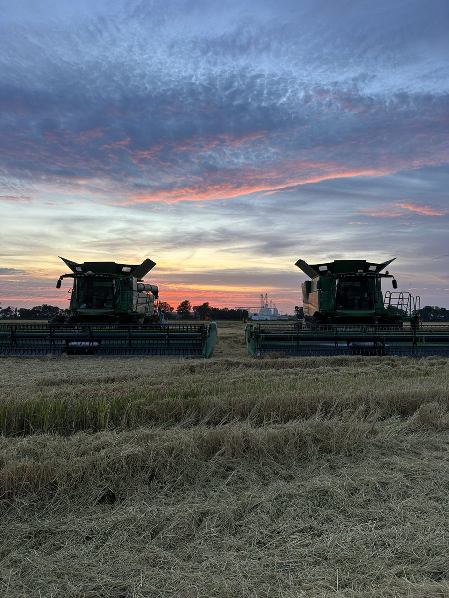 riley_guziewicz's tweet photo. Lord blessed us with another beautiful one! 🌾 https://t.co/e6STXz3nsB
