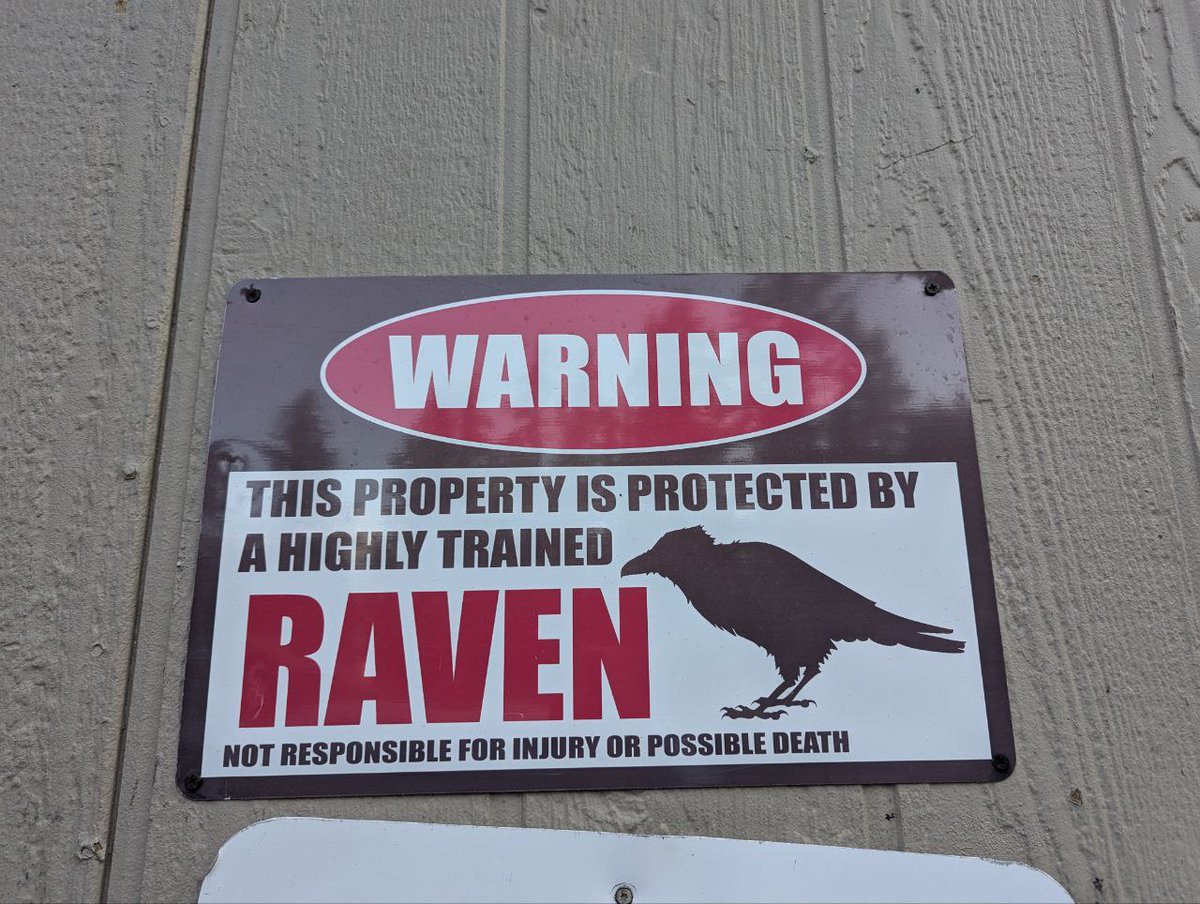 DailyCorvids's tweet image. Trespassers beware!