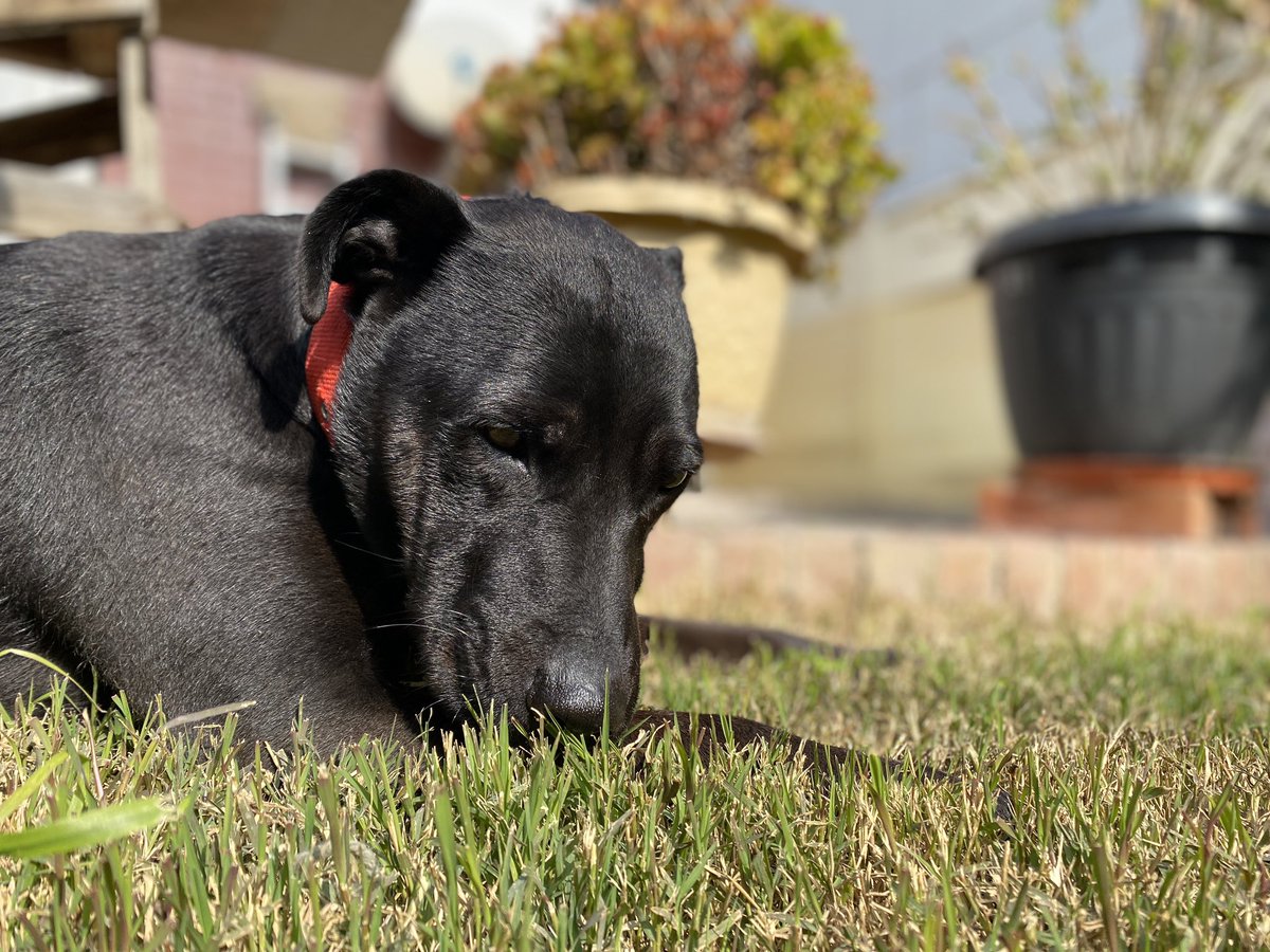 Travis Bickle tweet media