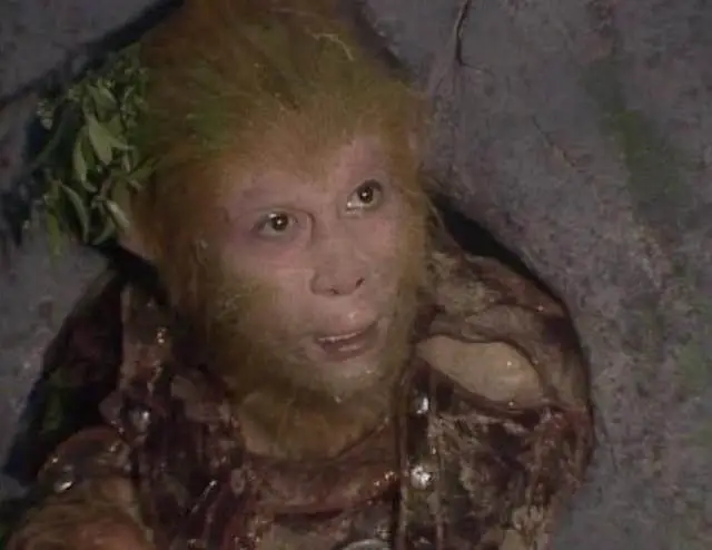 WUKONG👑 tweet media