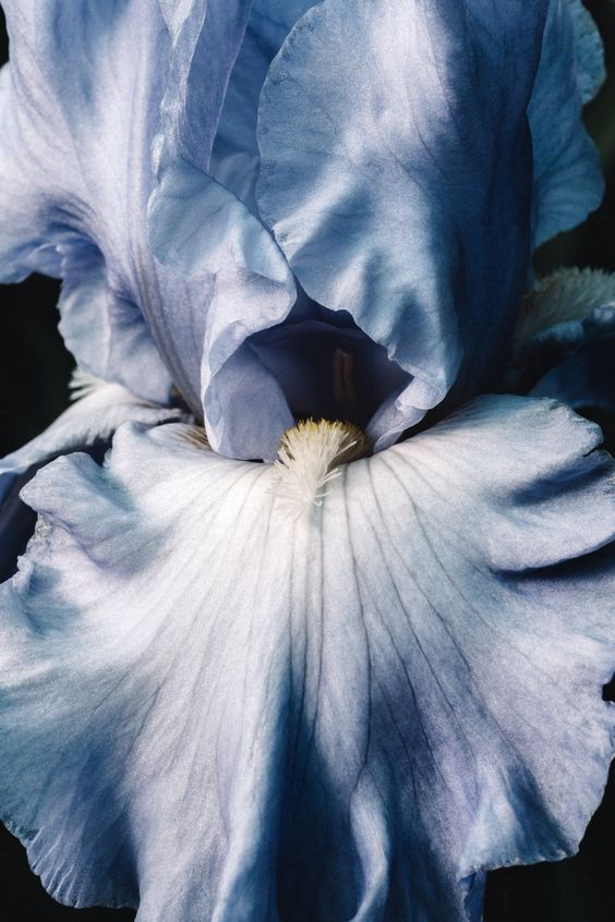 colinbaeks's tweet photo. @𝗰𝗼𝗹𝗶𝗻𝗯𝗮𝗲𝗸𝘀 new post at #egopics #egogala

harmonia blue 💙 https://t.co/d5WZecrh6z
