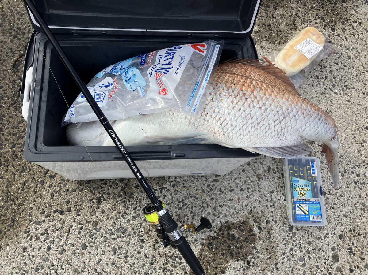 atsuma666's tweet photo. 夏の最高の思い出に
多分もう無いと思う。
かぶせ、初タイ80

魚拓取れなかった😢
ファイトやばかった。
怠けず昨日ケプラー作っといて
良かった。
タモ入れやばかった。
足震えた… https://t.co/FWYwJK4XiK